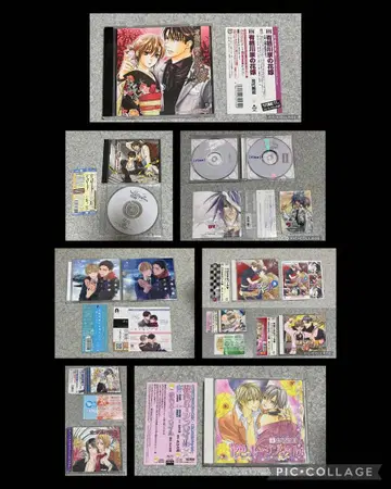 BL CD 묶음 판매