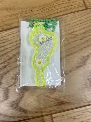 비와코 아크릴 키링