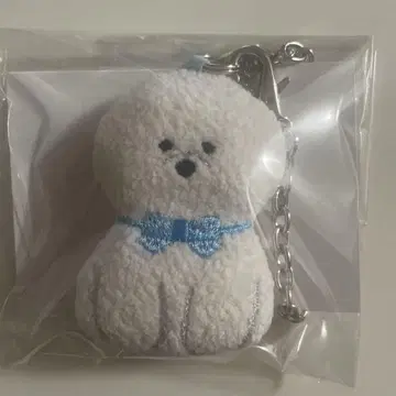 러브러리 페이러 모후모후 원찬 비숑 프리제 참