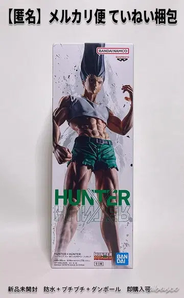 헌터헌터 HUNTERxHUNTER 피그라이프 곤