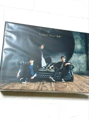 중고 Lead the Best 도표 포니캐니언 한정판