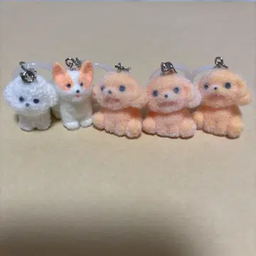 모코푸와 강아지 표시 액세서리