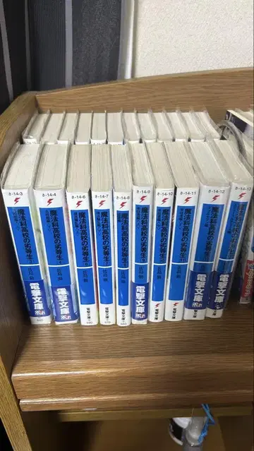 마법과 고등학교의 열등생