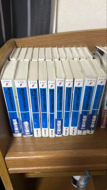 마법과 고등학교의 열등생