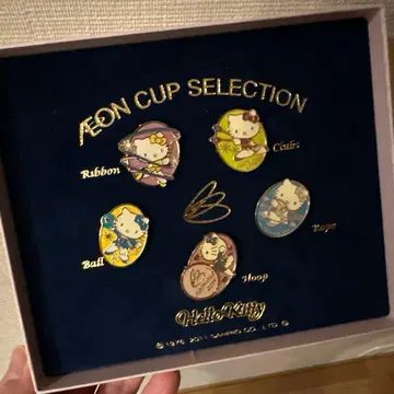 Hello Kitty AEONCUPSELECTION 핀 배지 5세트