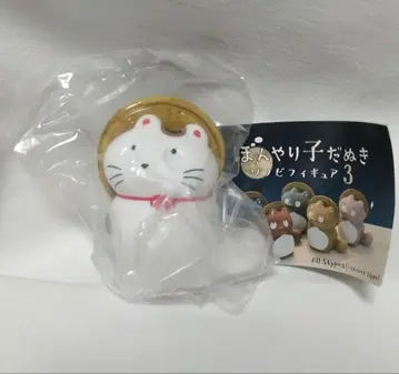 멍한 아기 너구리 소프트 비닐 피규어 3 시크릿