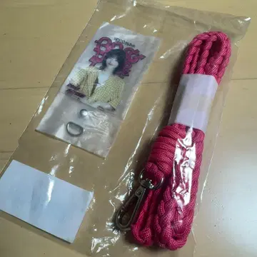 노기자카46 39th 언더 라이브 스마트폰 스트랩 하야시 루나