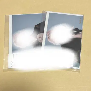 슈야 브로마이드