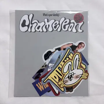 ASTRO 윤산하 사나 chameleon POPUP 스티커