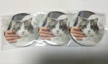 스토푸리 사토미군 사토완 야마토군 캔뱃지