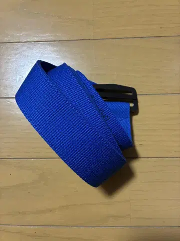 에세이 벨트