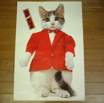 새상품급!! 초기 로트 얕보지마 고양이 포스터 당시 제품