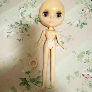 두피 없는 브라이스 보더 스피릿 네오 브라이스 레디언스