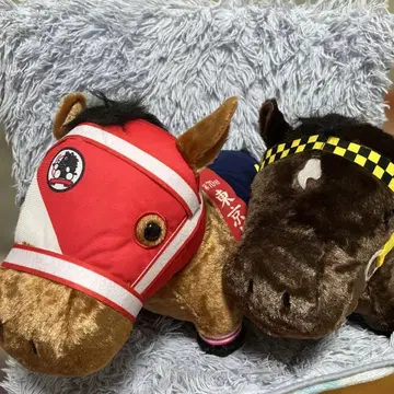 서러브레드 컬렉션 후와후와 BIG 부에나 비스타 & 포에버 영