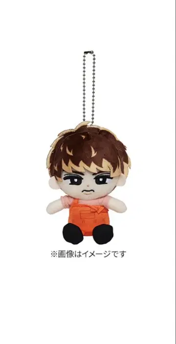 SnowMan 무카이 코지 봉제 인형