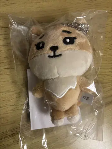 [ 미개봉 새상품 ] day6 데니멀즈 ke 백참  youngk