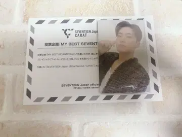 my best SEVENTEEN 호시 트레이딩 카드 2장