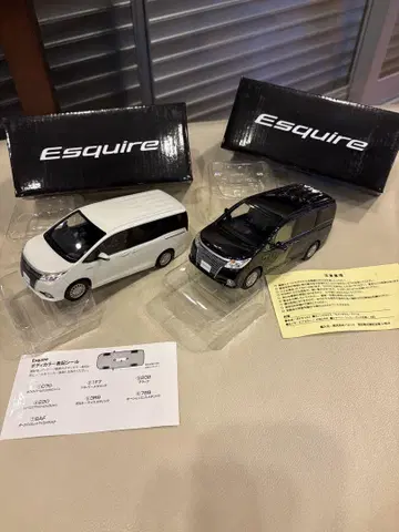 Esquire 미니카 화이트 펄과 블랙 펄 2개 세트