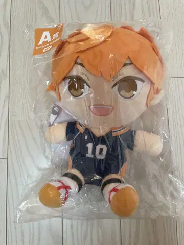 하이큐! 누이못치 A상 히나타 쇼요