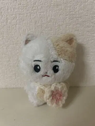 enhypen 희승 봉제 인형