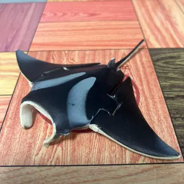 단종 레어템 아니아 스플래쉬 수족관 만타 피규어