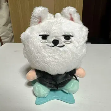 뿔바투 수빈