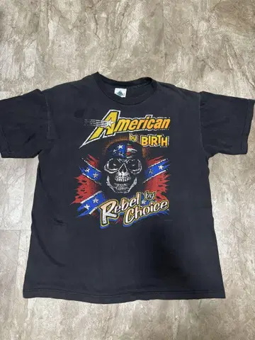 HARLEY-DAVIDSON 아메리칸 스컬