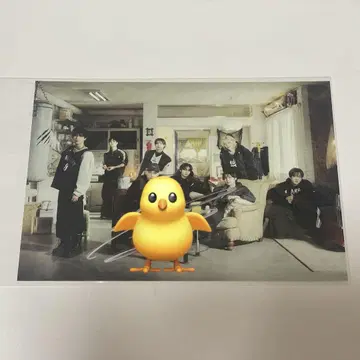 직필 사인 필릭스
