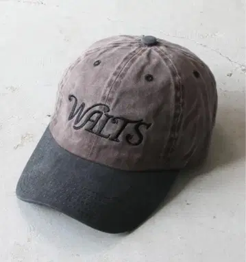 WALTS 브라운 캡