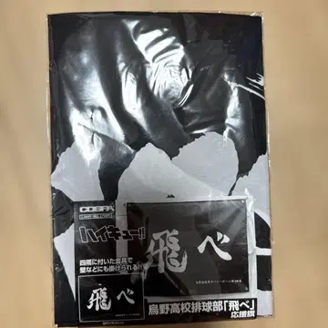 하이큐!! 현수막 [ 카라스노 ]