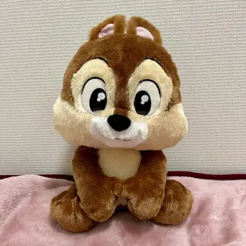 우루리이미 칩