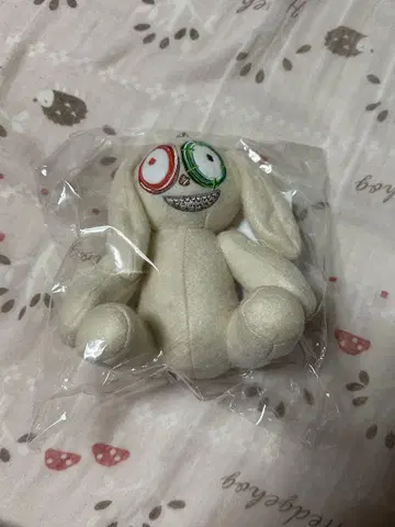채영 백참