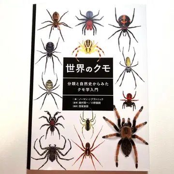 세계의 거미 분류와 자연사로 본 거미학 입문
