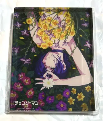 체인소 맨 TSUTAYA 아크릴 블록 디저 비주얼 레제