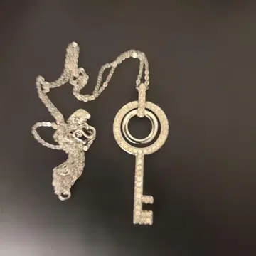 SWAROVSKI 남성용 목걸이