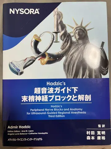 Hadzic's 초음파 가이드 하 말초 신경 블록