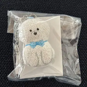 페이 모후모후 완찬 참