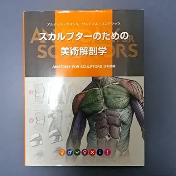 스컬프터를 위한 미술 해부학