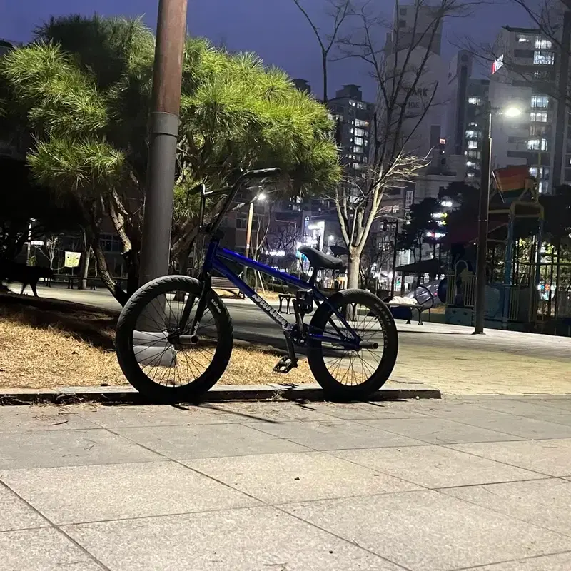 선데이 BMX