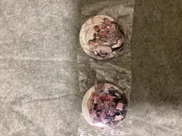 캐릭터 집합 사진 핀 배지 2개 세트