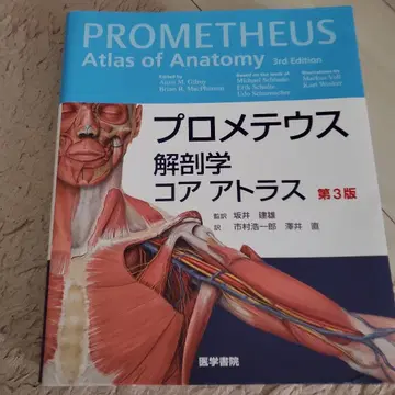 프로메테우스 해부학 코어 아틀라스 기초 질환 46의 주술기 간호
