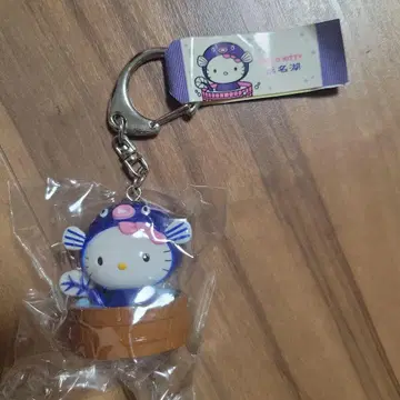 [ 새상품 레어 ] 헬로키티 고토치 하마나코 한정판 장어 키티 키링