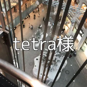 tetra님
