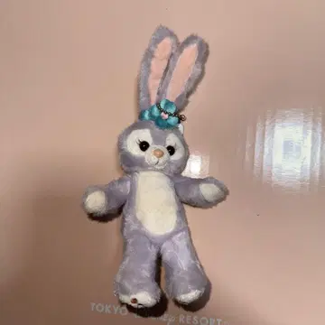 도쿄 디즈니 리조트 스텔라 루 인형 배지 더피 프렌즈