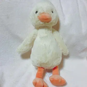 [오늘 발송 가능] JELLYCAT 오리 봉제 인형 [가격 인하 가능]