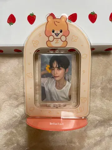 성한빈 트레이딩 카드 스탠드 binini ZEROBASEONE
