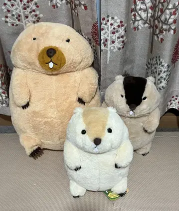 마모트 더 마모트 봉제 인형 3체 세트