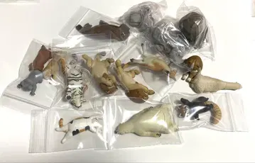 zoozoozoo 가챠가챠 묶음 판매
