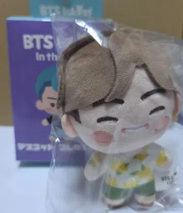 BTS 인더섬 Island In The SEOM 뷔 V
