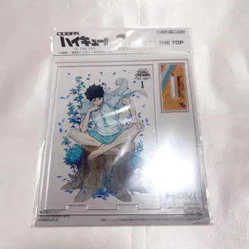 하이큐 오이카와 토오루 TO THE TOP 아크릴 스탠드